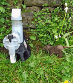 Rattenbekämpfung im Garten - giftfrei mit Rattenfallen