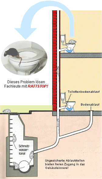 Rattstopp Rattenklappe für das WC