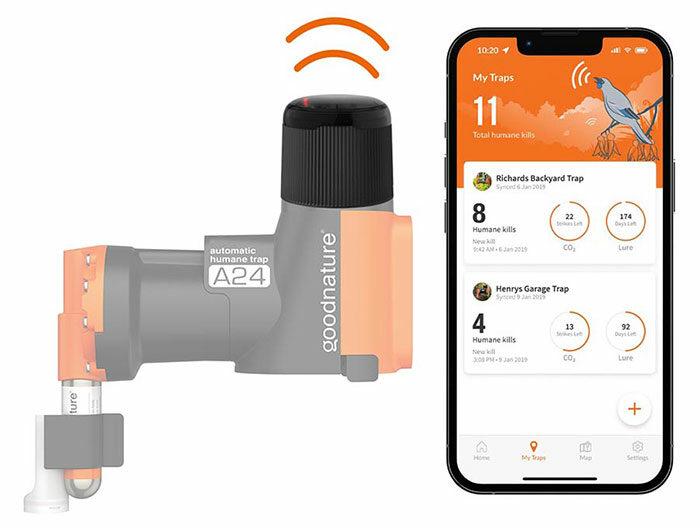 A24 Falle mit Smart Cap / Chirp