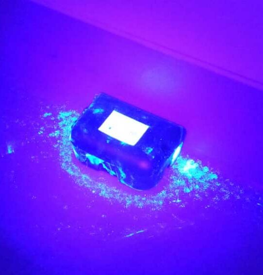 Fluoreszierendes Spurenpulver Eindringstellen von Mardern finden