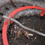 RatCap - Rattenschutz für Kanaldeckel