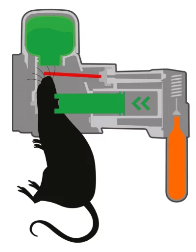Funktionsweise Multicatch Rattenfalle