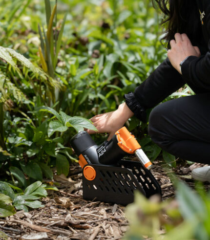 A24 Rattenfalle - Rattenbekämpfung im Garten