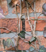 Stoßfugen im Klinger gegen Mäuse absichern